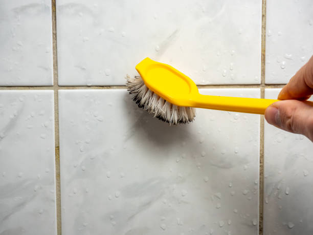 Best Mold Remediation for Specific Building Types in Fultonde, AL