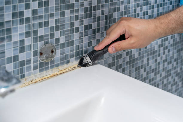 Best Insurance-Related Mold Remediation in Fultonde, AL