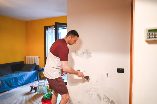 Best Emergency Mold Remediation in Fultonde, AL